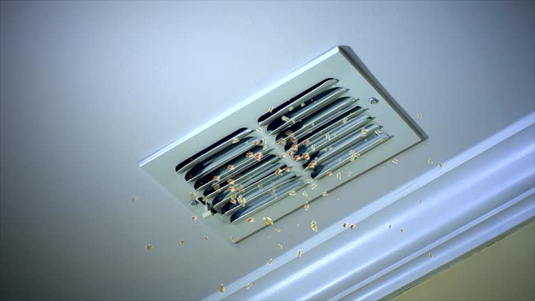 Best General Air Duct Cleaning  in Lone Oak, TN
