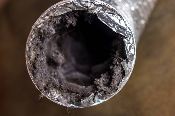 Best Best Air Duct Cleaning Company  in Lone Oak, TN